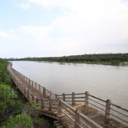 Dongzhai Port Nature Reserve - Haikou