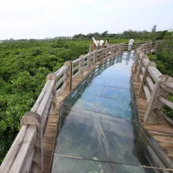 Dongzhai Port Nature Reserve - Haikou