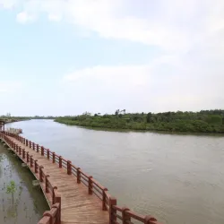 Dongzhai Port Nature Reserve - Haikou