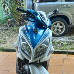 Dongzhai Port Nature Reserve - Haikou