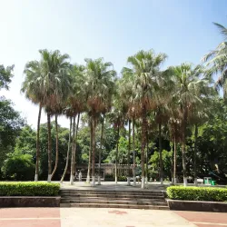 Haikou People's Park - Haikou