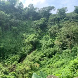 Haikou Volcanic Cluster Global Geopark - Haikou