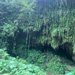 Haikou Volcano Park - Haikou