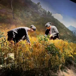 Hainan Museum - Haikou