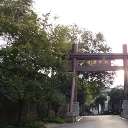 Longjing Tea Plantations - Hangzhou