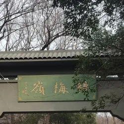 Longjing Tea Plantations - Hangzhou