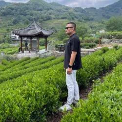 Longjing Tea Plantations - Hangzhou