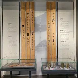Museum of Traditional Chinese Medicine - Hangzhou