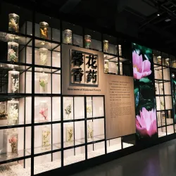 Museum of Traditional Chinese Medicine - Hangzhou