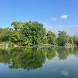 Xixi National Wetland Park - Hangzhou