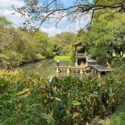 Xixi National Wetland Park - Hangzhou