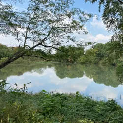 Xixi National Wetland Park - Hangzhou