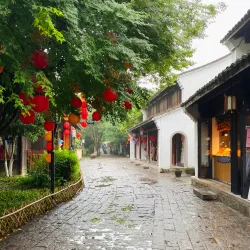 Xixi National Wetland Park - Hangzhou