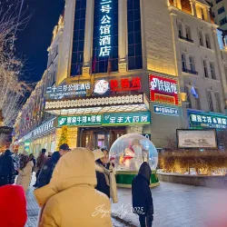 Central Street (Zhongyang Dajie) - Harbin