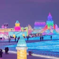 Harbin Ice and Snow Festival - Harbin