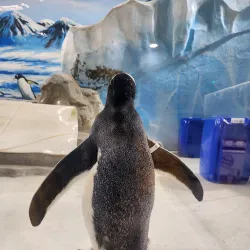 Harbin Polarland - Harbin