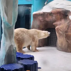 Harbin Polarland - Harbin