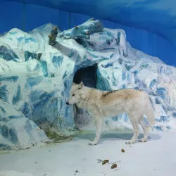 Harbin Polarland - Harbin