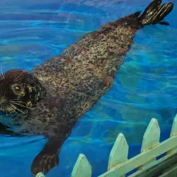 Harbin Polarland - Harbin