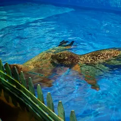 Harbin Polarland - Harbin