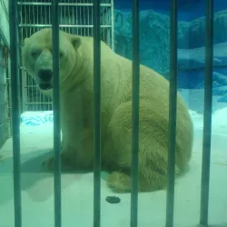 Harbin Polarland - Harbin