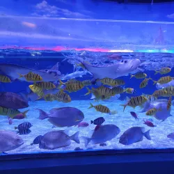 Harbin Polarland - Harbin