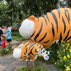 Siberian Tiger Park - Harbin