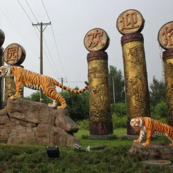 Siberian Tiger Park - Harbin