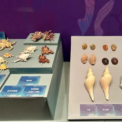 Anhui Museum - Hefei