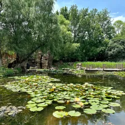 Hefei Botanical Garden - Hefei