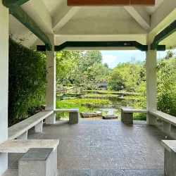 Hefei Botanical Garden - Hefei