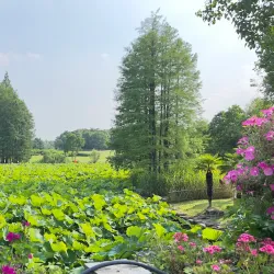 Hefei Botanical Garden - Hefei