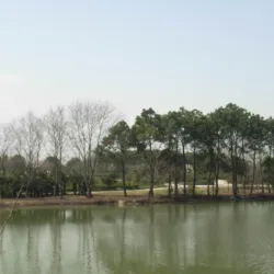 Hefei Botanical Garden - Hefei
