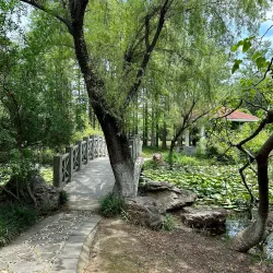 Hefei Botanical Garden - Hefei