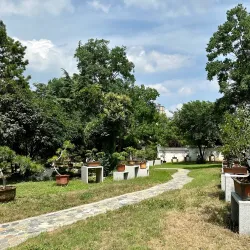 Hefei Botanical Garden - Hefei