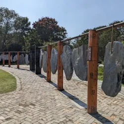 Hefei Botanical Garden - Hefei