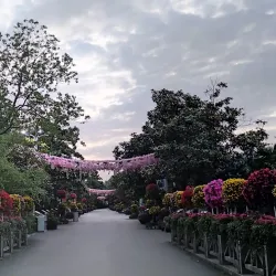 Hefei Botanical Garden - Hefei