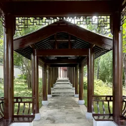 Hefei Botanical Garden - Hefei
