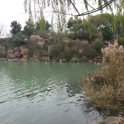 Hefei Swan Lake - Hefei
