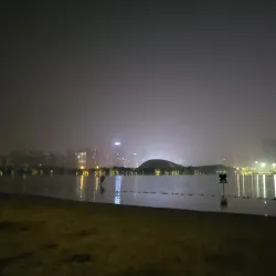 Hefei Swan Lake - Hefei