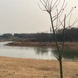 Qinglong Lake Park - Hefei