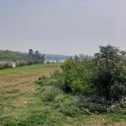 Qinglong Lake Park - Hefei