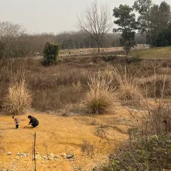 Qinglong Lake Park - Hefei