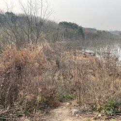 Qinglong Lake Park - Hefei