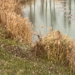 Qinglong Lake Park - Hefei