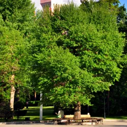 Hegang Botanical Garden - Hegang