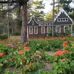 Hegang Botanical Garden - Hegang