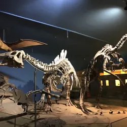 Hegang Coal Mine Museum - Hegang