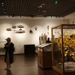 Hegang Coal Mine Museum - Hegang