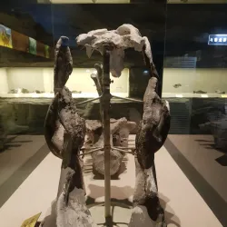 Hegang Coal Mine Museum - Hegang